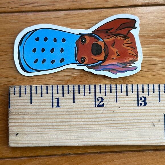 Adorable dog with Crock shoe on head as a hat blue footwear golden retriever - Picture 4 of 4